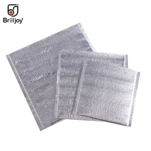 10 Sacs Isothermes en Aluminium – Sac Réutilisable Isolé pour Aliments, Glace, Pique-Nique, Lunch Chaud & Froid